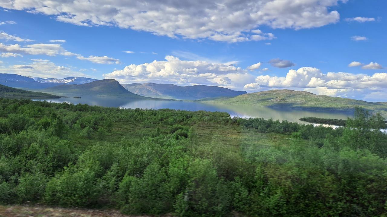 Berg