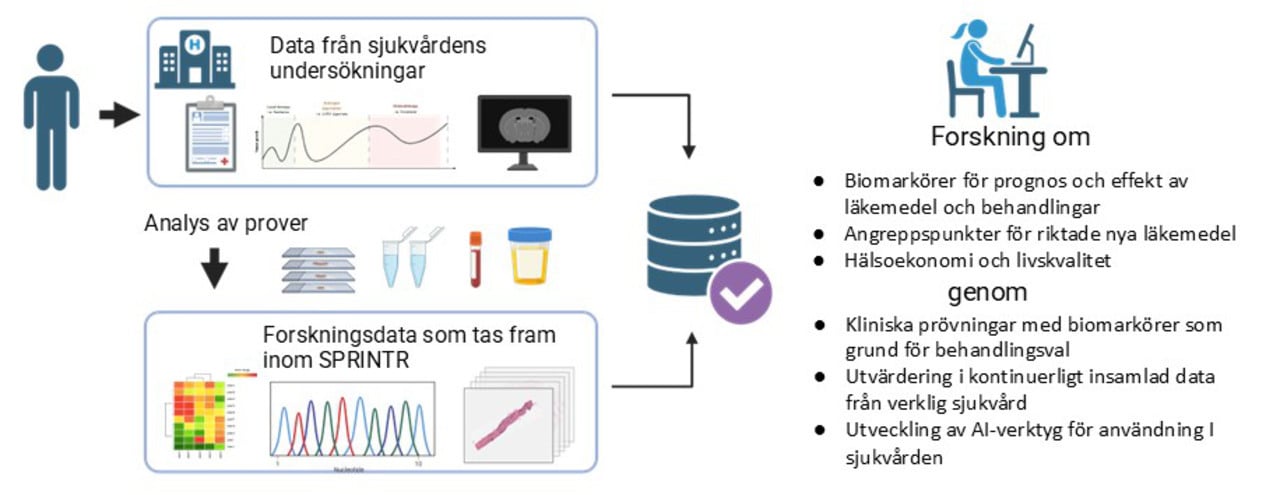 SPRINTR Mer om forskningen