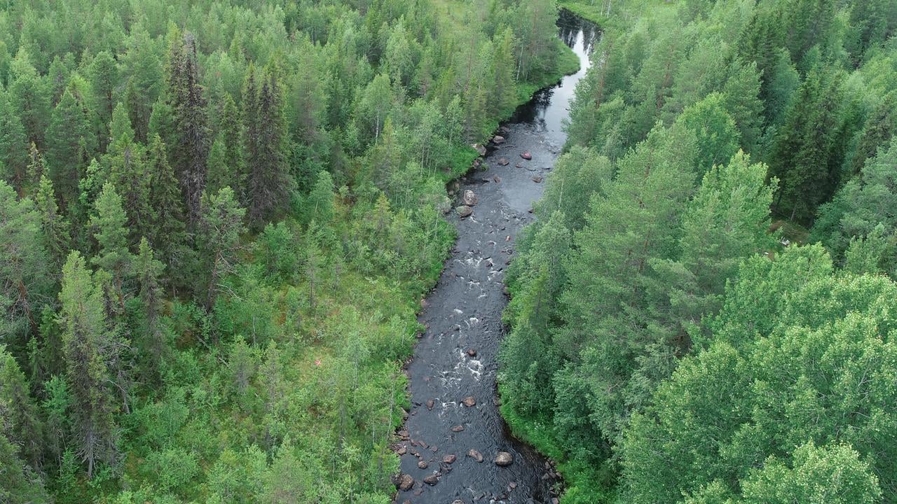 En &auml;lv som rinner genom en skog.