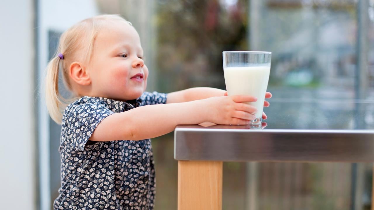 En liten flicka som håller i ett glas mjölk.