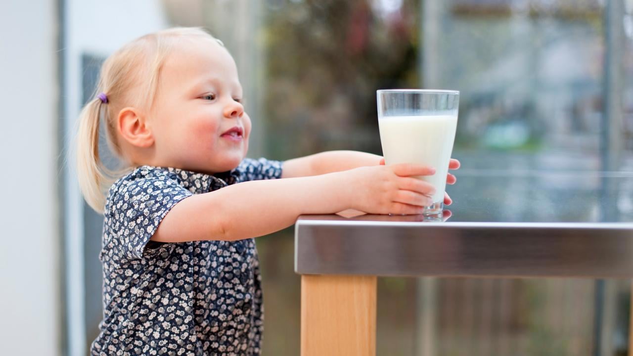 En liten flicka som håller i ett glas mjölk.