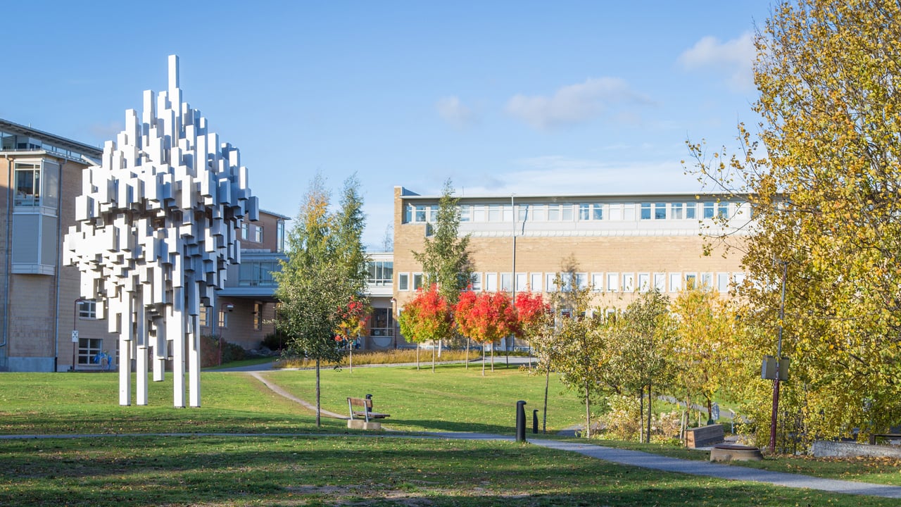 Bild p&aring; h&ouml;stf&auml;rger p&aring; campus