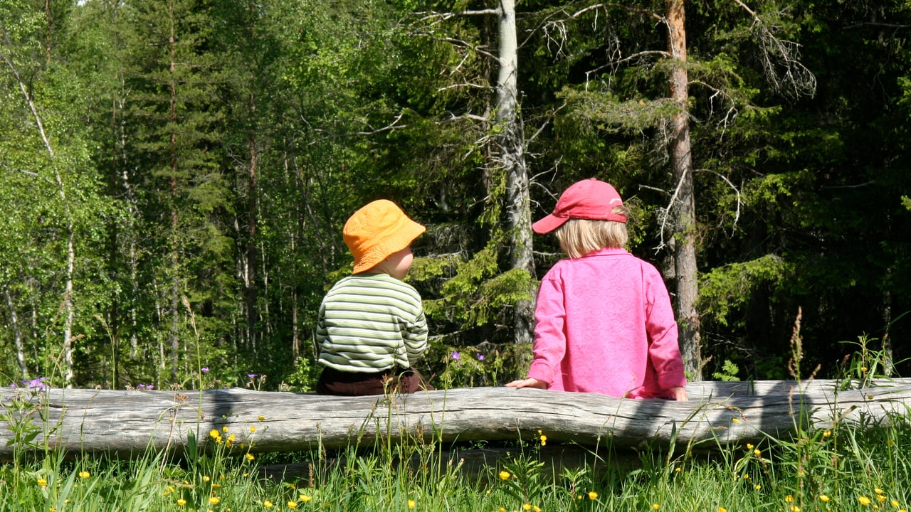 Bild p&aring; barn i skogen