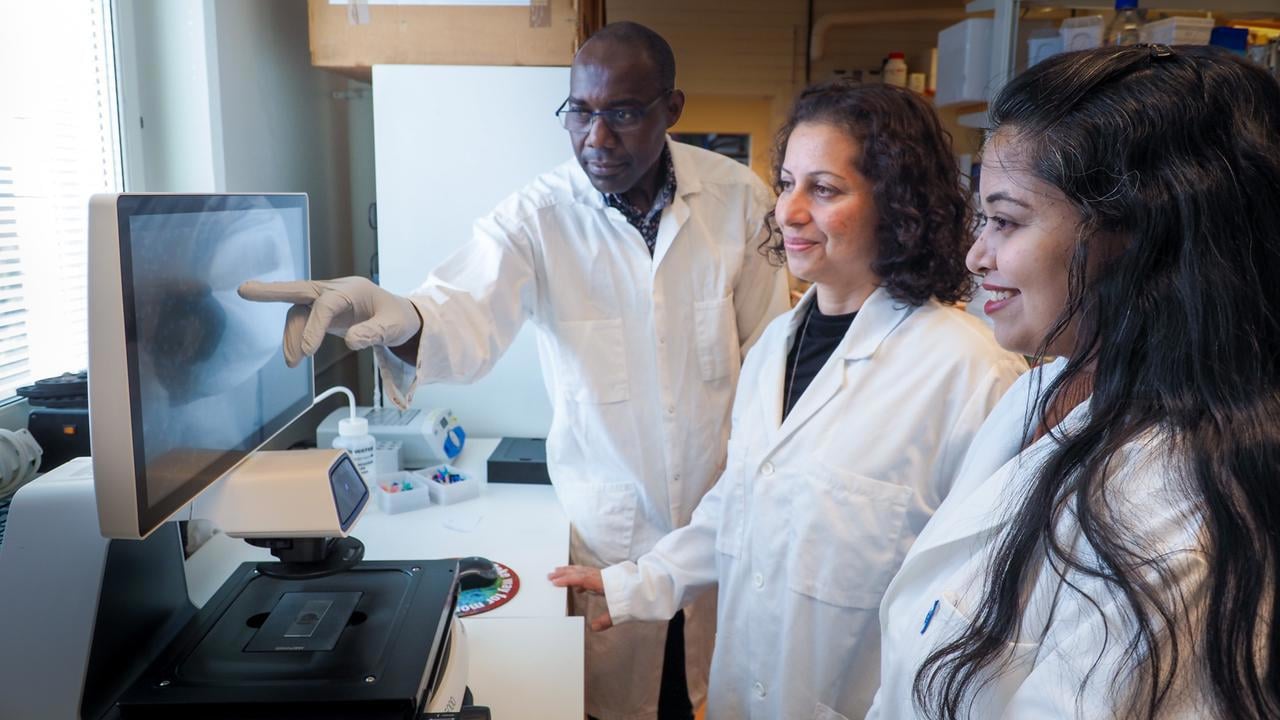 Nasim Sabouri lab