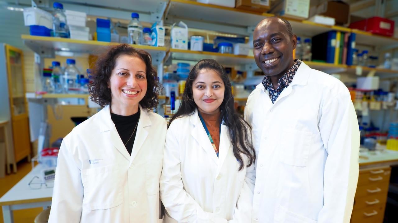 Nasim Sabouri lab