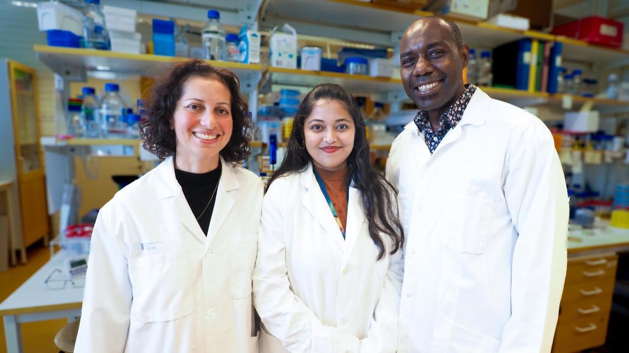 Nasim Sabouri lab