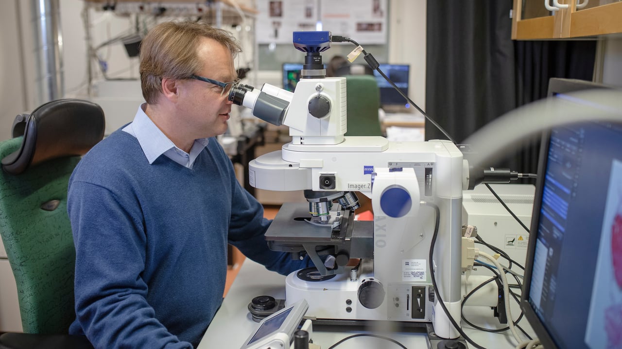 Portr&auml;tt p&aring; Oliver Billker, anknuten som professor till Institutionen f&ouml;r molekyl&auml;rbiologi, Ume&aring; universitet.