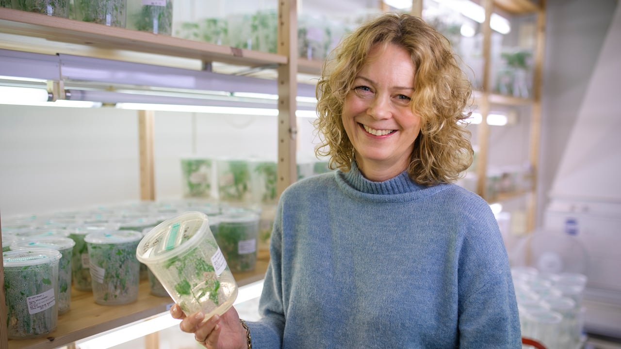 &Aring;sa Strand,  professor vid Institutionen f&ouml;r fysiologisk botanik
