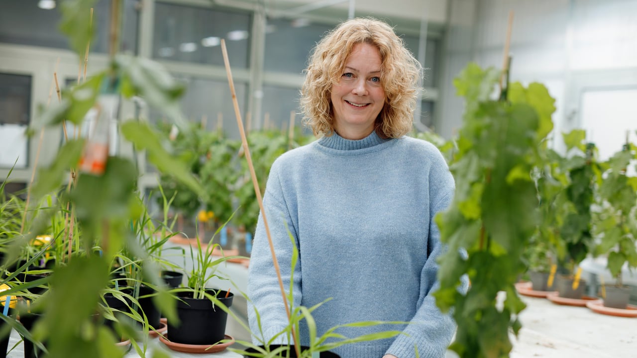 &Aring;sa Strand,  professor vid Institutionen f&ouml;r fysiologisk botanik