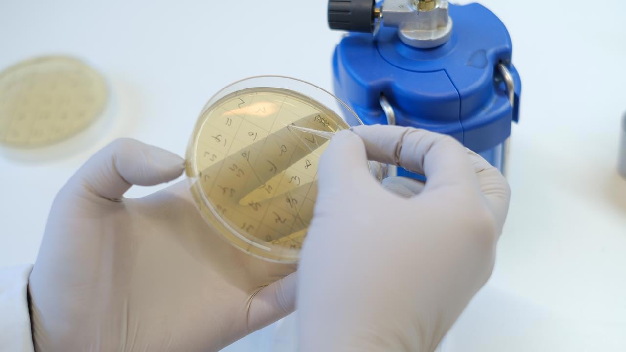 Lab work