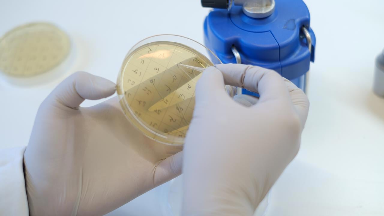 Lab work