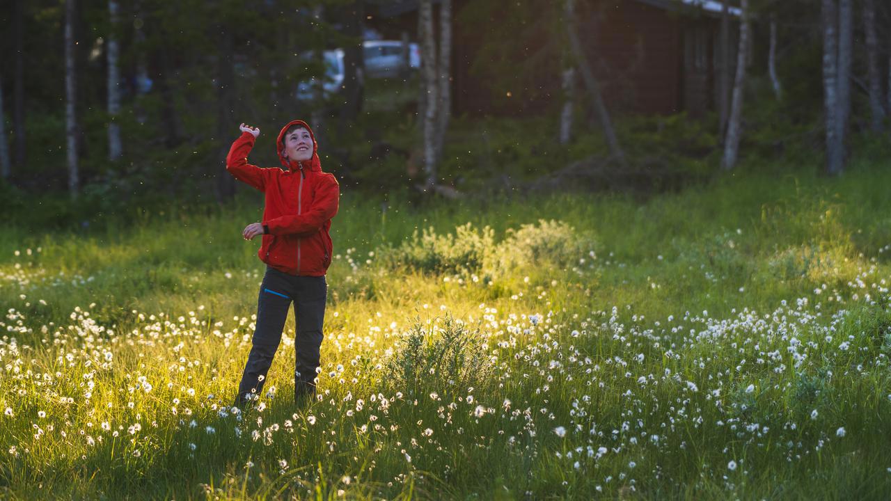 For many people, mosquitoes and biting midges are the greatest nuisance of summer. Yet they are also an important part of ecosystems and can provide researchers with valuable clues about how infectious diseases spread.