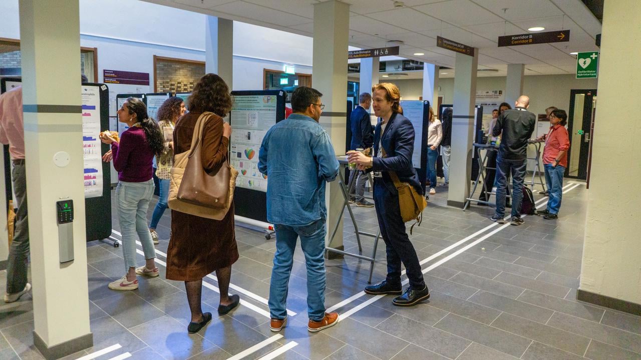 Personer samtalar i sm&aring; grupper framf&ouml;r vetenskapliga postrar i en universitetskorridor.