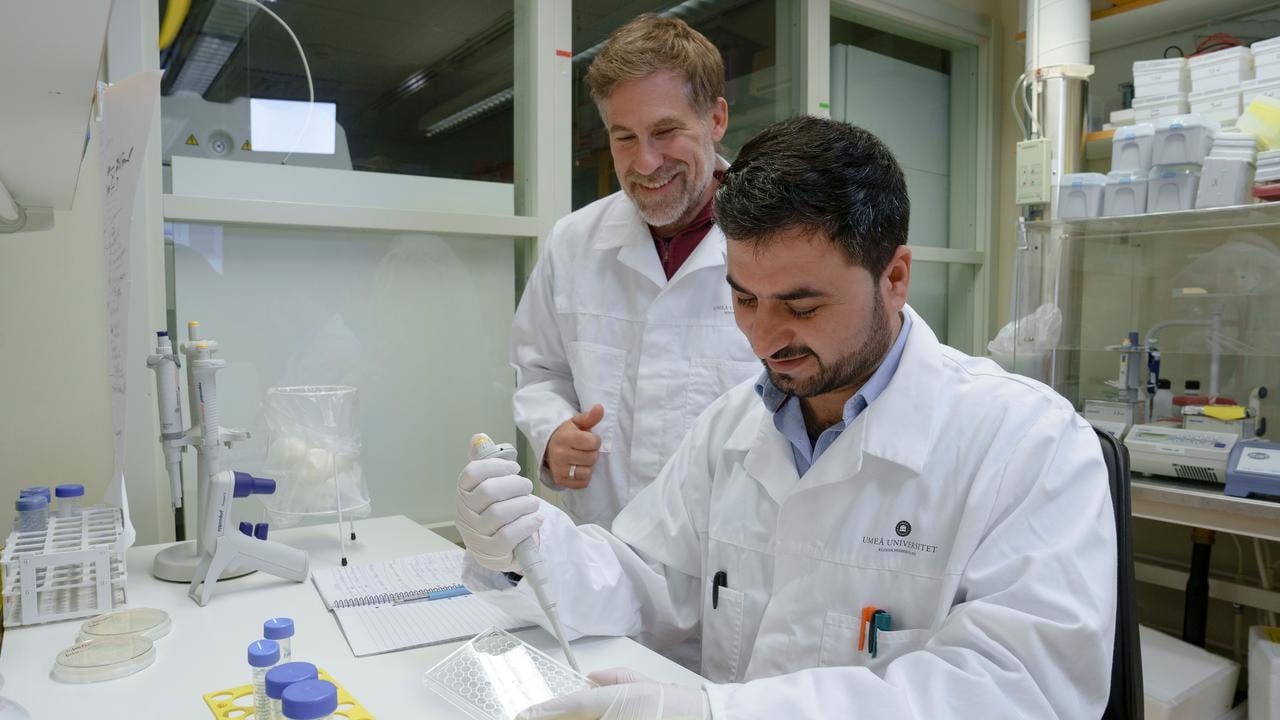 Nadeem UllahPostdoktor vid Institutionen f&ouml;r klinisk mikrobiologisamt Constantin UrbanProfessor vid Institutionen f&ouml;r klinisk mikrobiologiEnhet: Immunologi, Avdelningen f&ouml;r infektion och immunologi