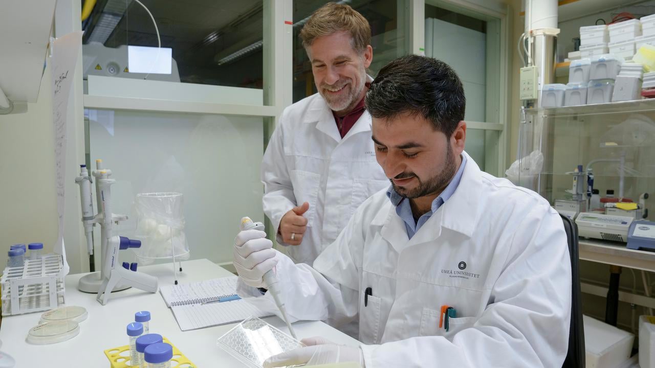 Nadeem UllahPostdoktor vid Institutionen f&ouml;r klinisk mikrobiologisamt Constantin UrbanProfessor vid Institutionen f&ouml;r klinisk mikrobiologiEnhet: Immunologi, Avdelningen f&ouml;r infektion och immunologi