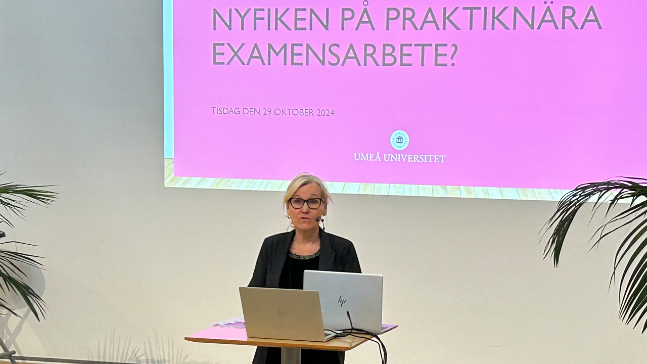 Vicerektor Cathrine Norberg st&aring;r p&aring; L&auml;rarh&ouml;gskolans scen och presenterar med texten Nyfiken p&aring; praktikn&auml;ra examensarbete? i bakgrunden.
