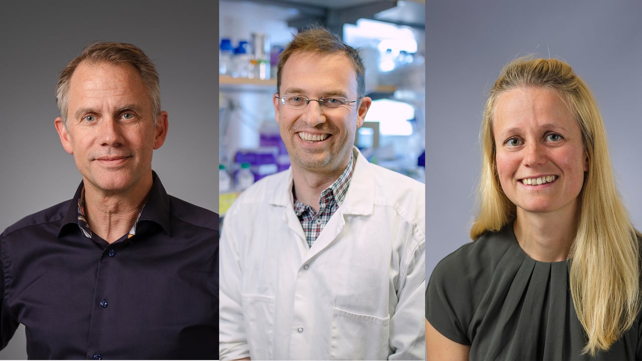 Mattias Forsell, Johan Norman och Julia Wigren Bystr&ouml;m.