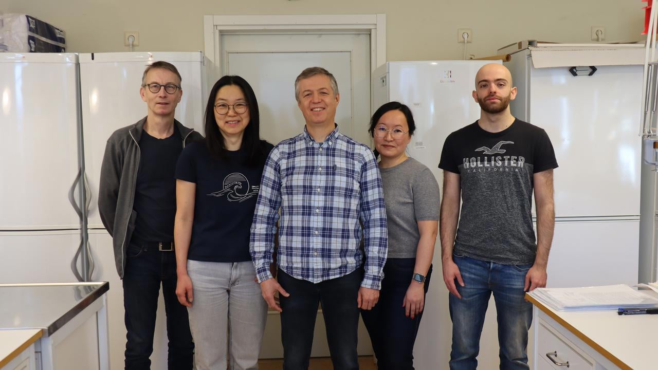 Gruppbild på fem forskare som arbetar med genetik på Instituionen för molekylärbiologi