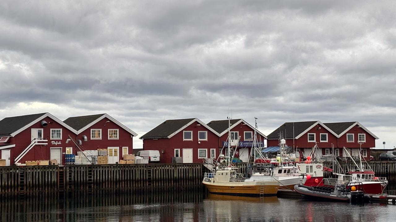 Bod&oslash; hamn, Norge