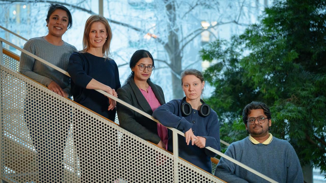 Doktorand Rebecca Lantto ReinmanDoktorand Amina HayatPost-doc Sobiah Rauf (bioinformatikern)Post-doc Vigneshwar SenthivelGruppledare Anne Tuiskunen B&auml;ck