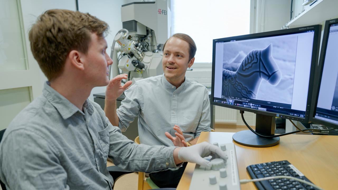 – Erik Olof WikLund, konstnär och examinerande masterstudent vid Konsthögskolan, Umeå universitet– Nils Hauff, staff scientist, Umeå Centre for Electron Microscopy, Umeå universitet, SciLifeLab