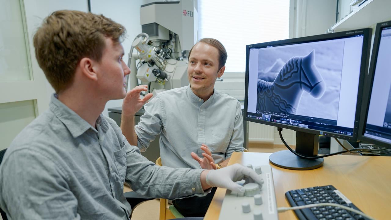 – Erik Olof WikLund, konstnär och examinerande masterstudent vid Konsthögskolan, Umeå universitet– Nils Hauff, staff scientist, Umeå Centre for Electron Microscopy, Umeå universitet, SciLifeLab