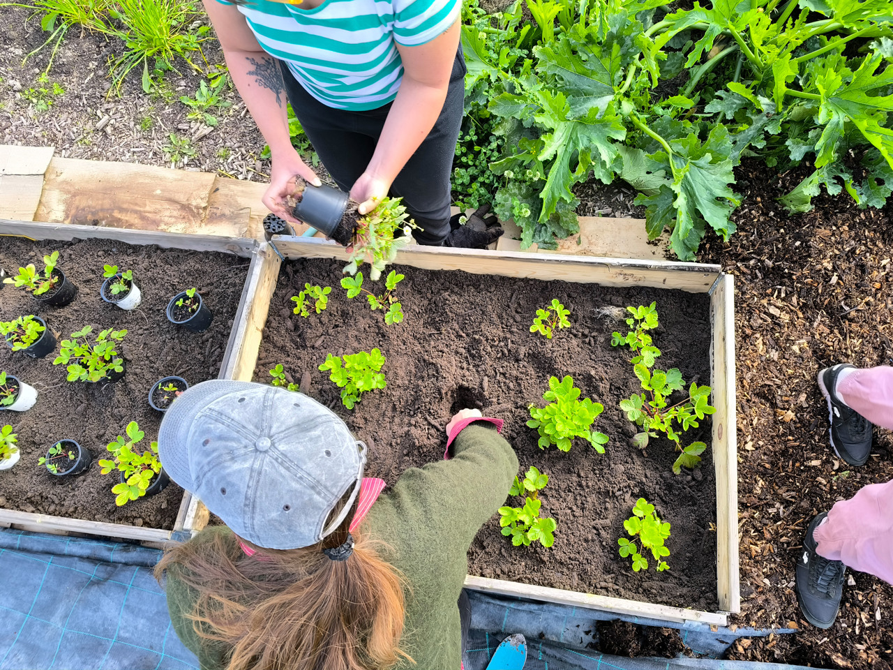 Gardening