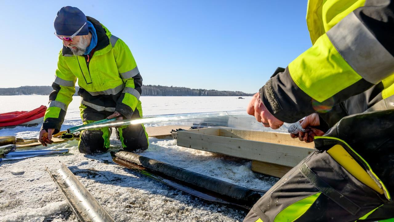 fältarbete