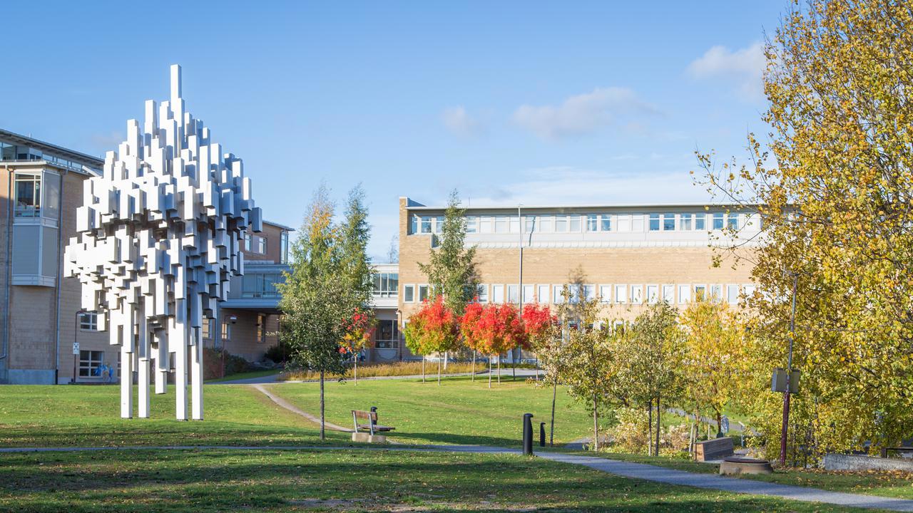 Det var vid Ume&aring; universitet, forskningsmilj&ouml;n MIMS, Forskningsmilj&ouml; vid MIMS, Ume&aring; universitet, som uppt&auml;ckten att identifiera tracrRNA genomf&ouml;rdes.