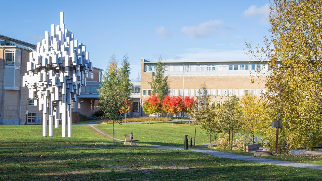 It was at Umeå University, in the MIMS research environment, that the discovery of tracrRNA was made.