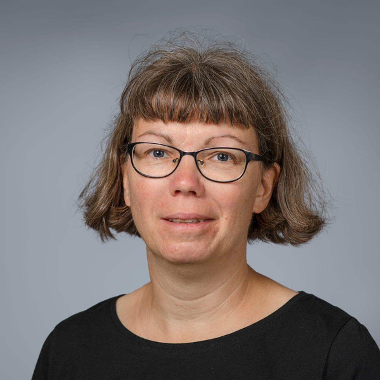 Annika Norlund Shaswar, universitetslektor vid Institutionen f&ouml;r spr&aring;kstudier, Ume&aring; universitet.