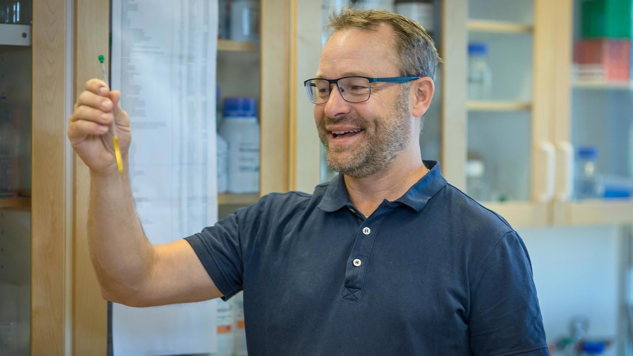 Magnus Wolf-Watz, professor vid Kemiska institutionen, Umeå universitet.