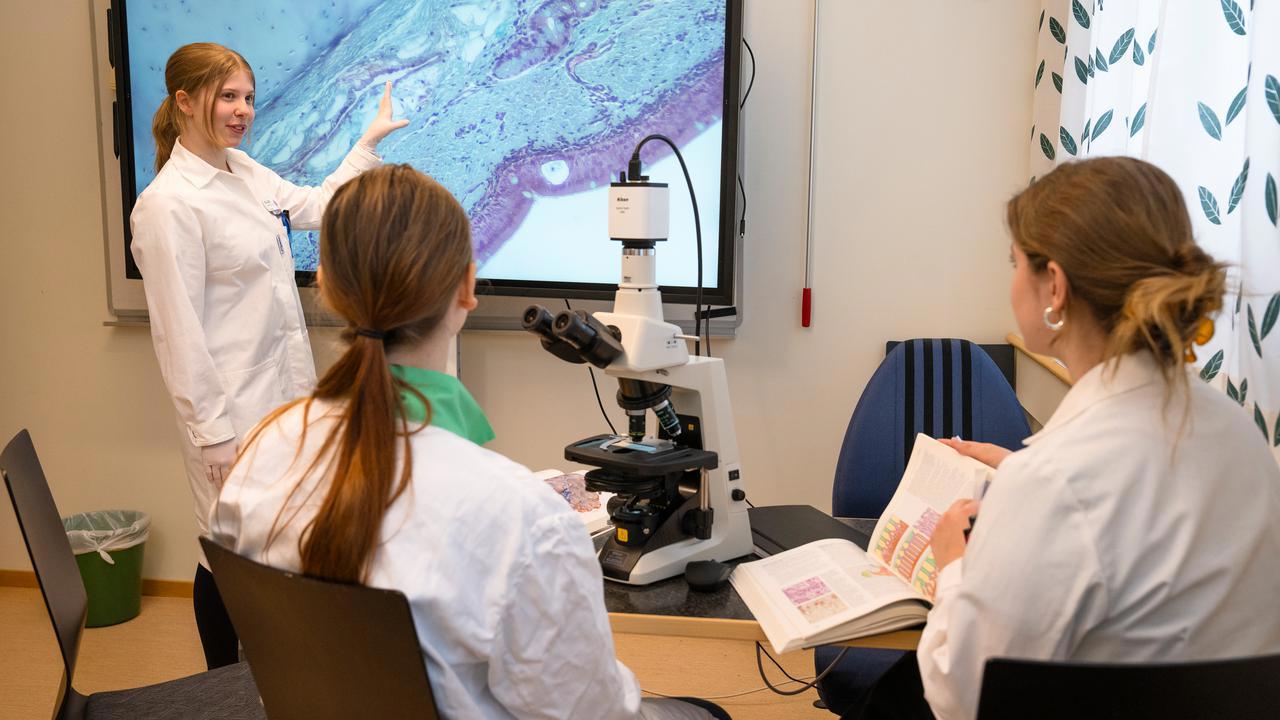 Laborationsbilder till Biomedicinsk analytikerprogrammets programsida, Klinisk mikrobiologi