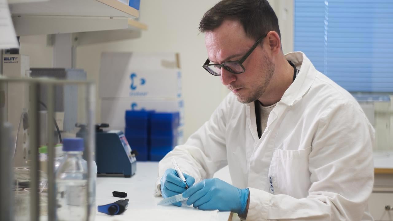 Dmytro doing lab work