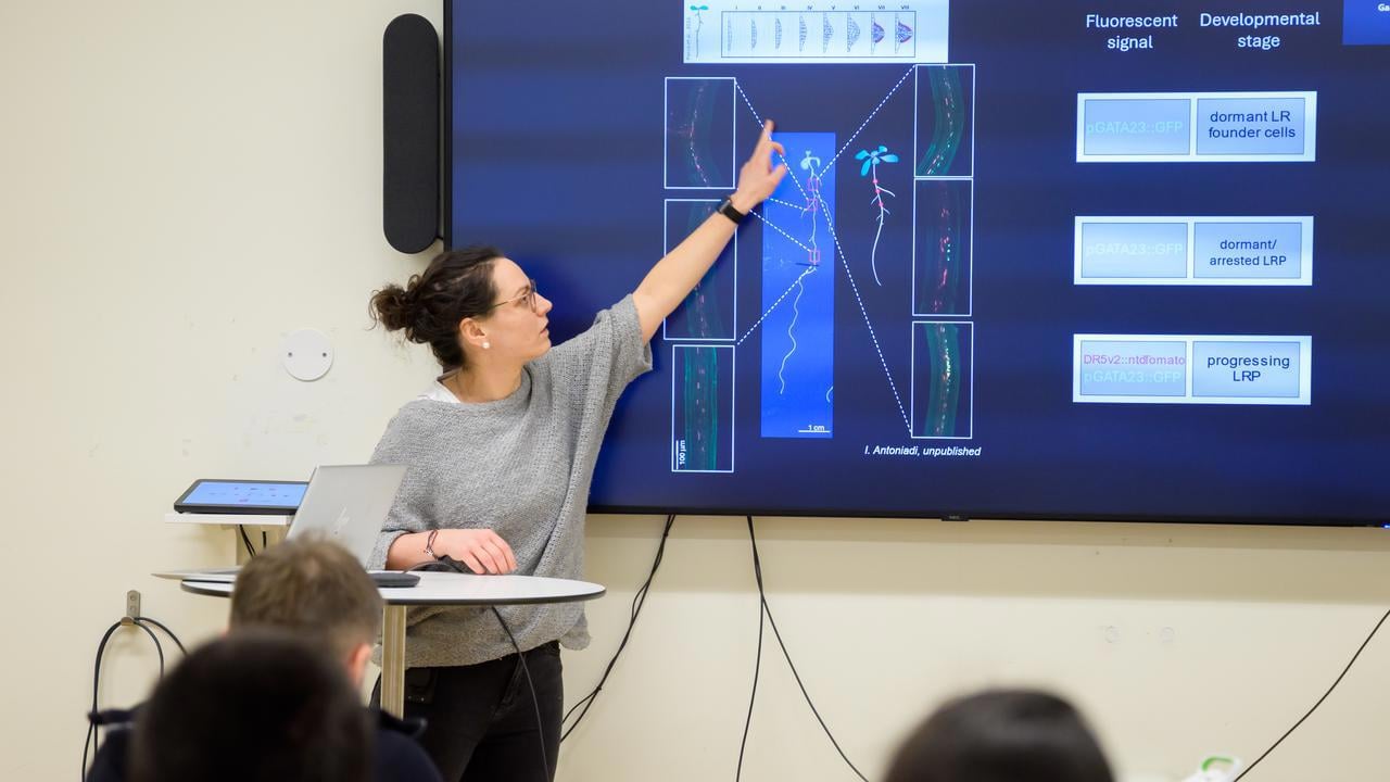 Barbora Parizkova speaks facing a seated crowd ,  she is pointing to a slide shown on a screen with an image of a plant and its roots shown.