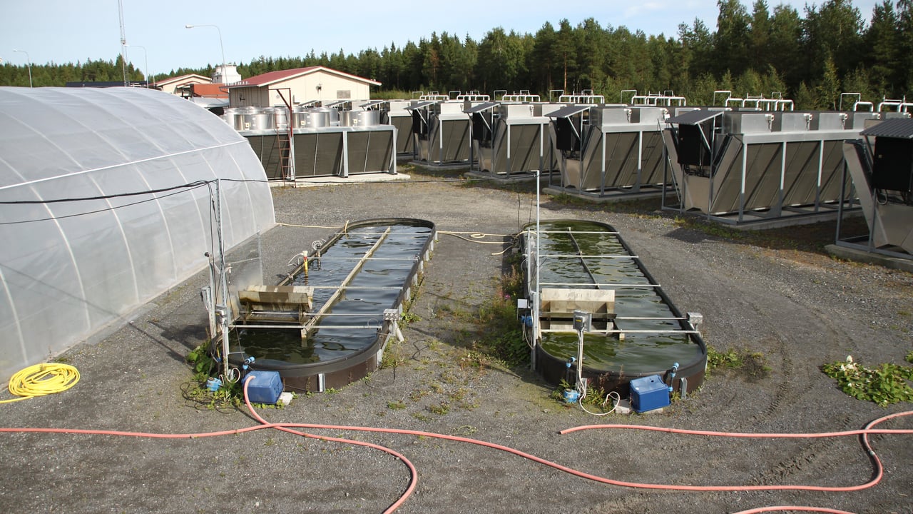Tv&aring; mindre bass&auml;nger utomhus.