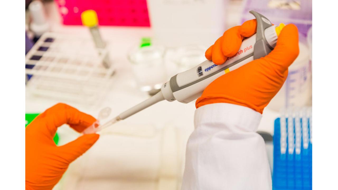 Pipettering i teströr