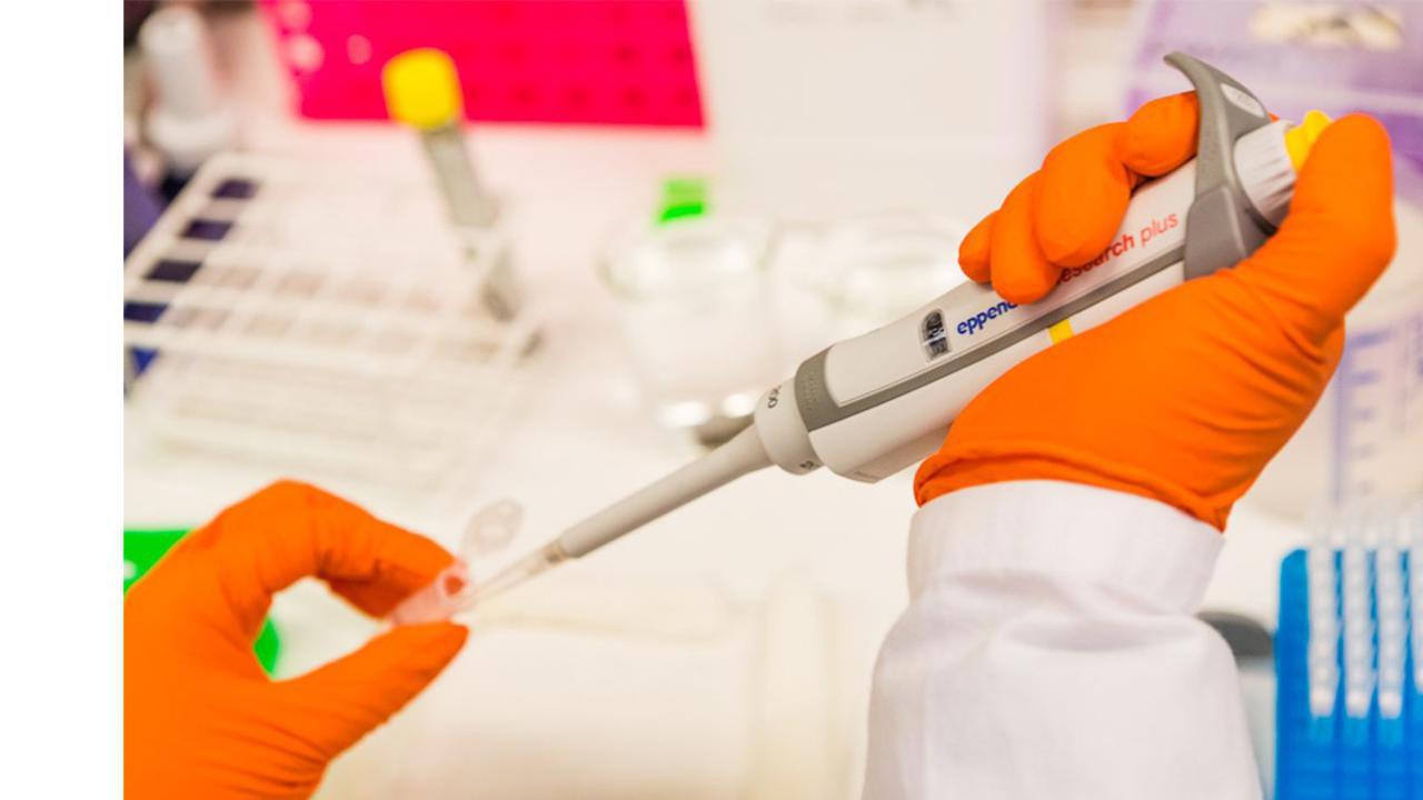 A new cancer drug may be able to inhibit both tumour growth and the spread of aggressive prostate cancer. The drug is carefully pipetted into test tubes to investigate its effects across a range of concentrations.