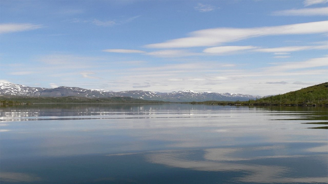Svarttj&auml;rn, V&auml;sterbotten