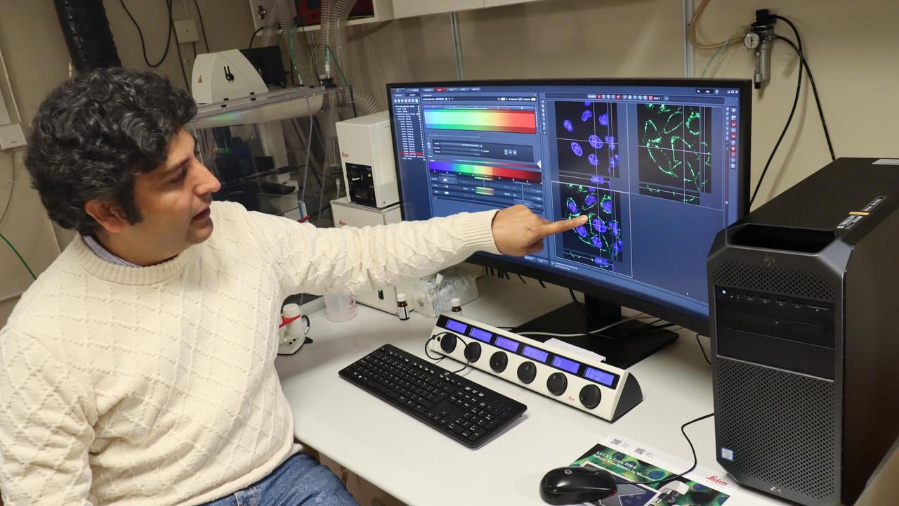 Aftab Nadeem, forskare på Institutionen för molekylärbiologi vid Umeå universitet, vid dator