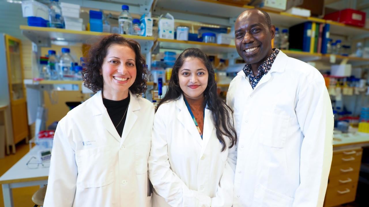Nasim Sabouri lab