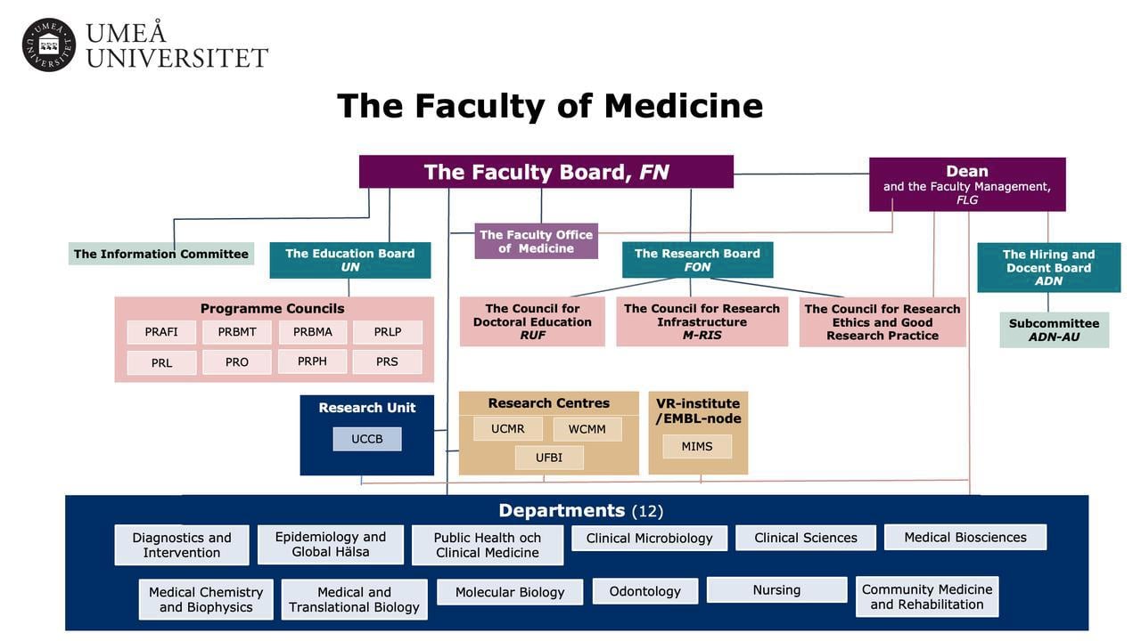 Broad picture of organization of Faculty of Medicine