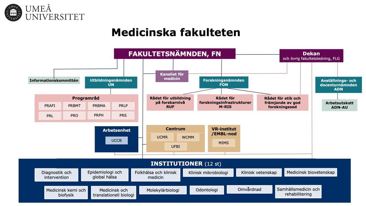 Schematisk bild av Medicinska fakutletens organisation