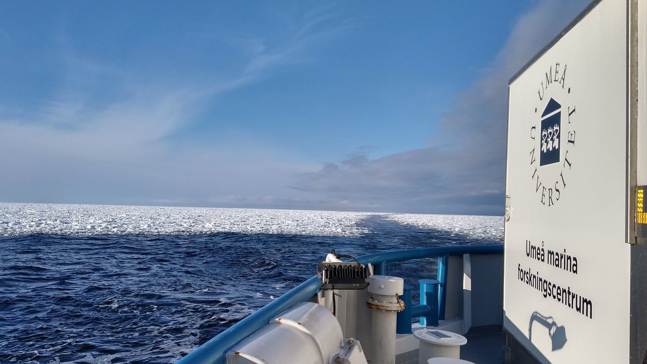 Research vessel from Ume&aring; marine research center