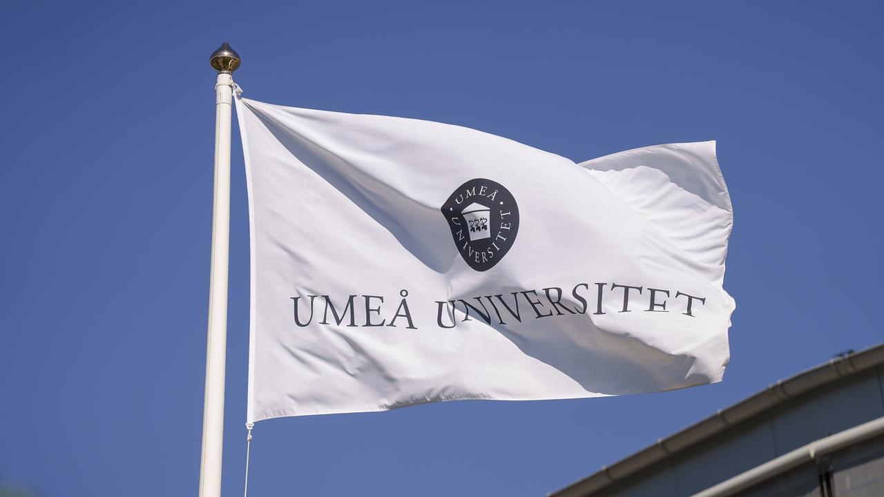 flaggor vid universitetsledningshuset