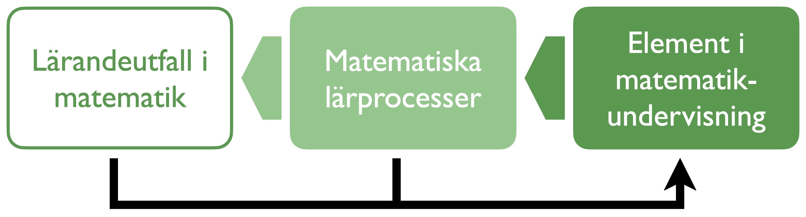 AMTLRfigurSVE.jpg