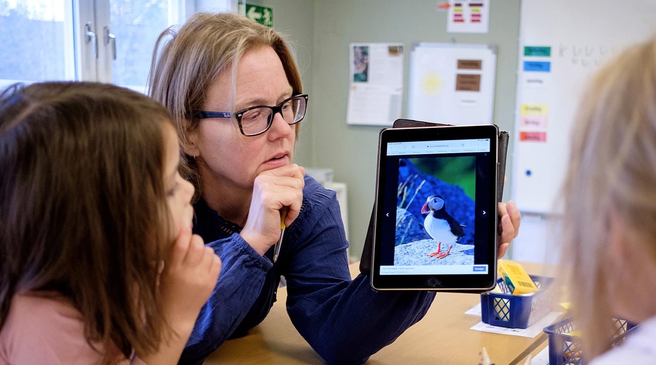 Jenny Sj&ouml;str&ouml;m, Ammarn&auml;s skola