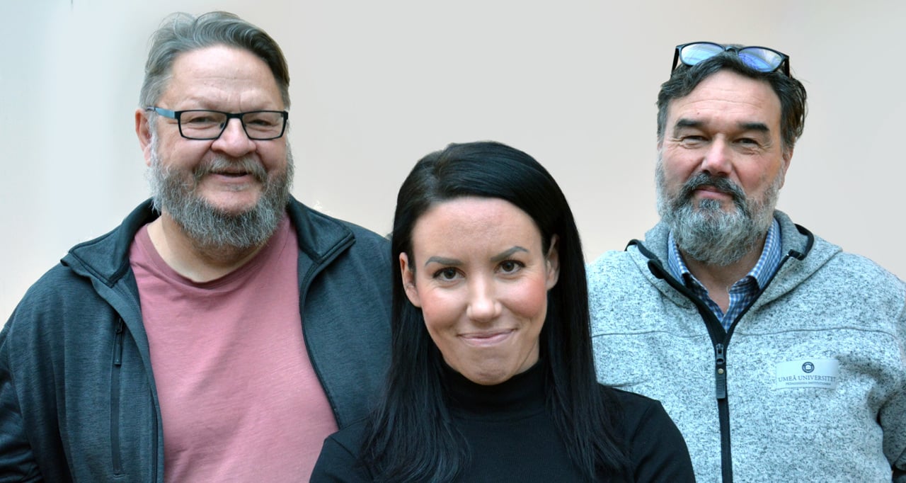 J&ouml;rgen From, Fanny Pettersson och J. Ola Lindberg, Pedagogiska institutionen