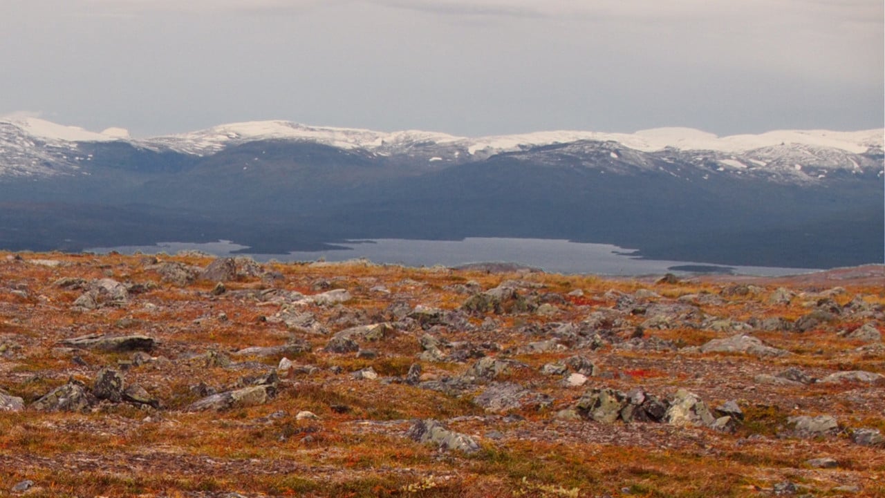 Bild på fjällandskap