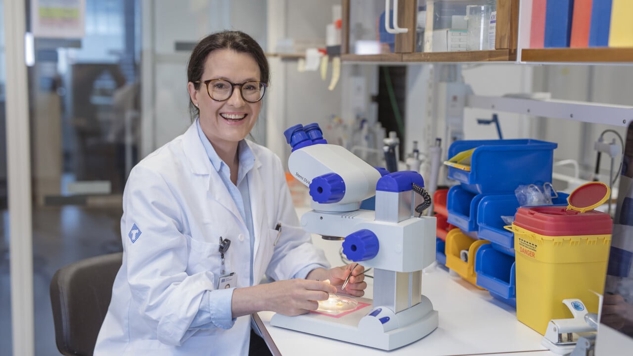 Bitr&auml;dande universitetslektor, ST-l&auml;kare vid Institutionen f&ouml;r integrativ medicinsk biologi (IMB)